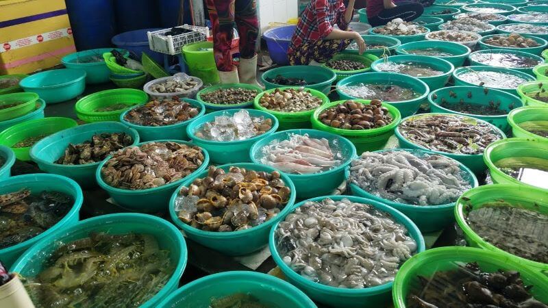 Hải sản tươi ngon tại đảo Cô Tô